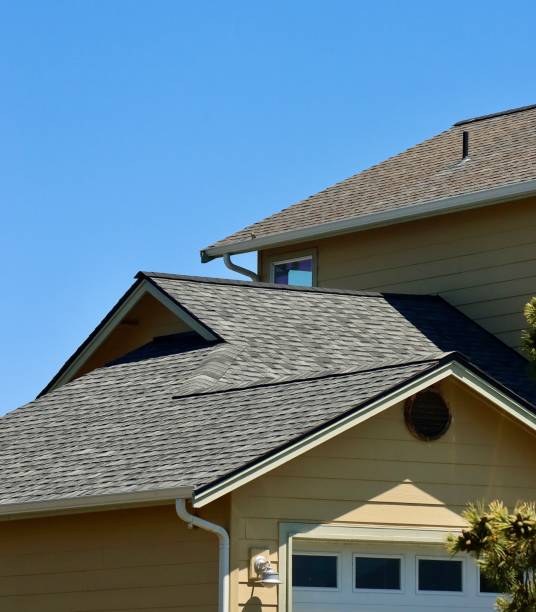 Roof Moss and Algae Removal in Cheviot, OH